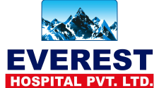 Everest Logo
